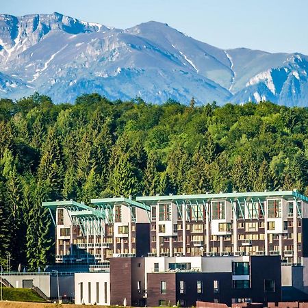 Ted Penthouse Silver Mountain ポイアナ・ブラショフ エクステリア 写真