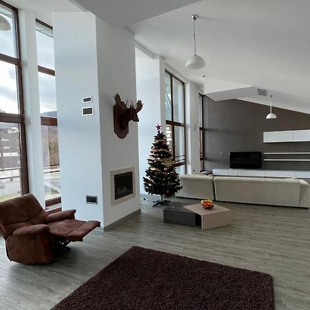 Ted Penthouse Silver Mountain ポイアナ・ブラショフ エクステリア 写真