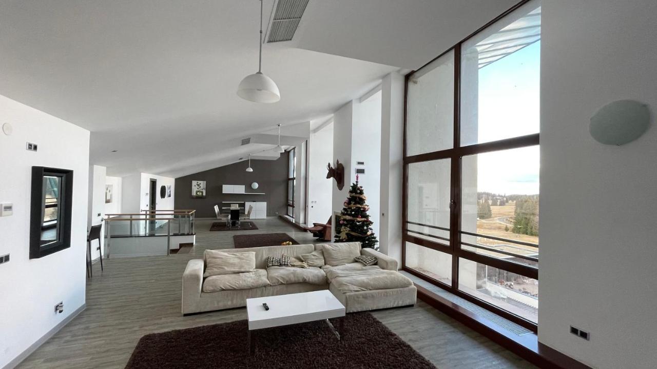 Ted Penthouse Silver Mountain ポイアナ・ブラショフ エクステリア 写真