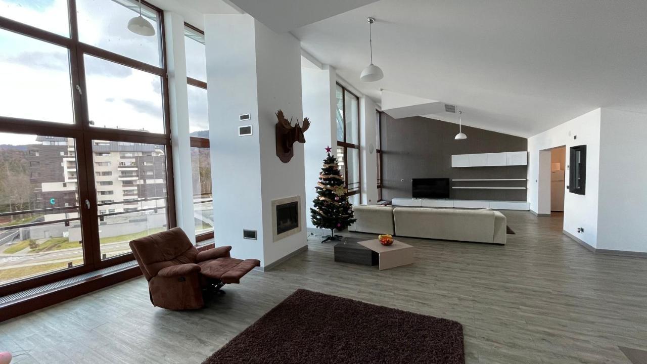 Ted Penthouse Silver Mountain ポイアナ・ブラショフ エクステリア 写真